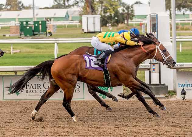 Chess Chief with Reylu Gutierrez aboard at Fair Grounds Race Course & Slots