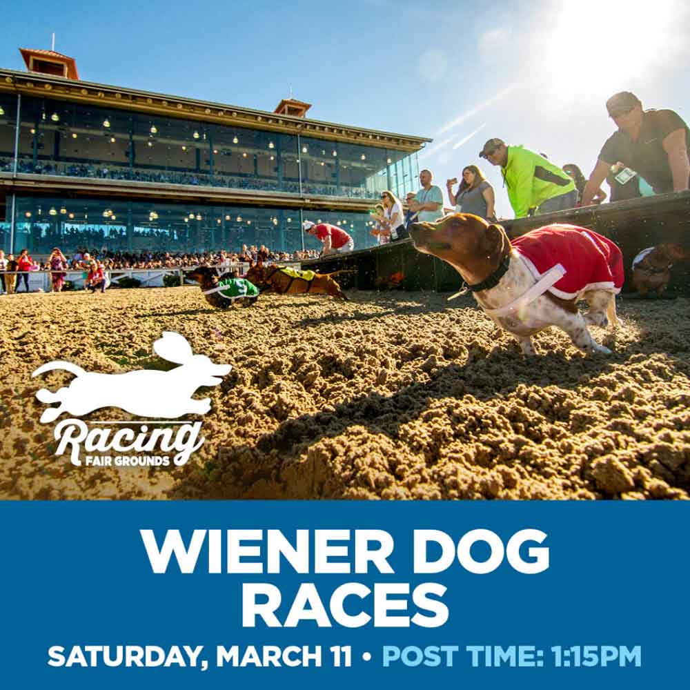 Mississippi RiverKings: Weiner Dog Races — OT Sports