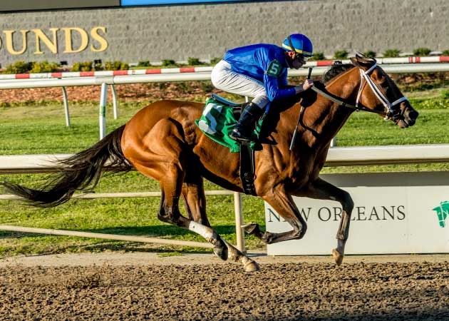 Strobe Wins Again “Ready for Stakes Company”