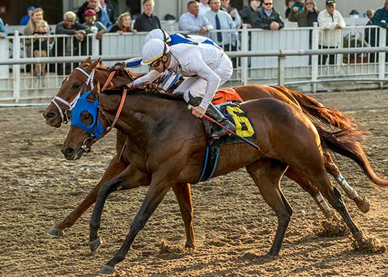 Magnum horse racing at Fair Grounds Race Course & Slots