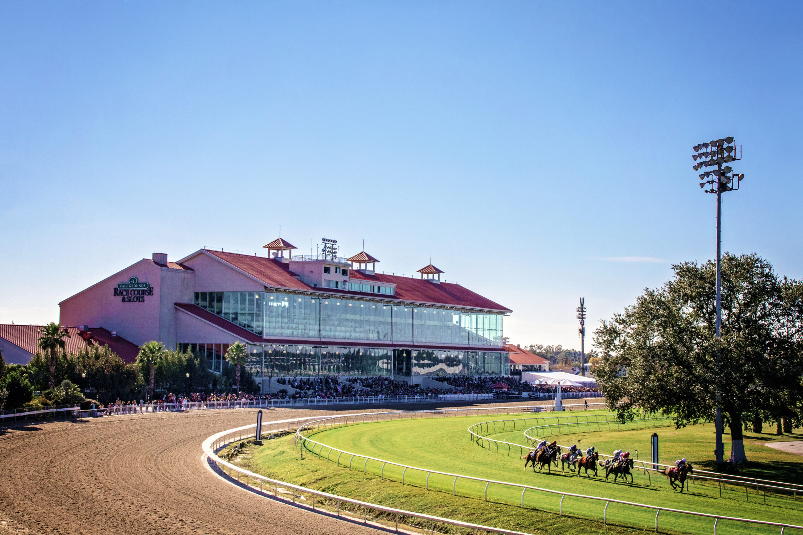 Thanksgiving 2018 Turf